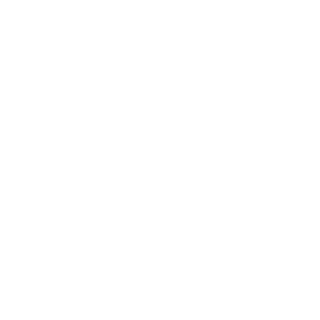 Diversité de danses